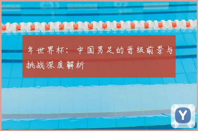 年世界杯：中国男足的晋级前景与挑战深度解析