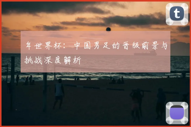 年世界杯:中国男足的晋级前景与挑战深度解析